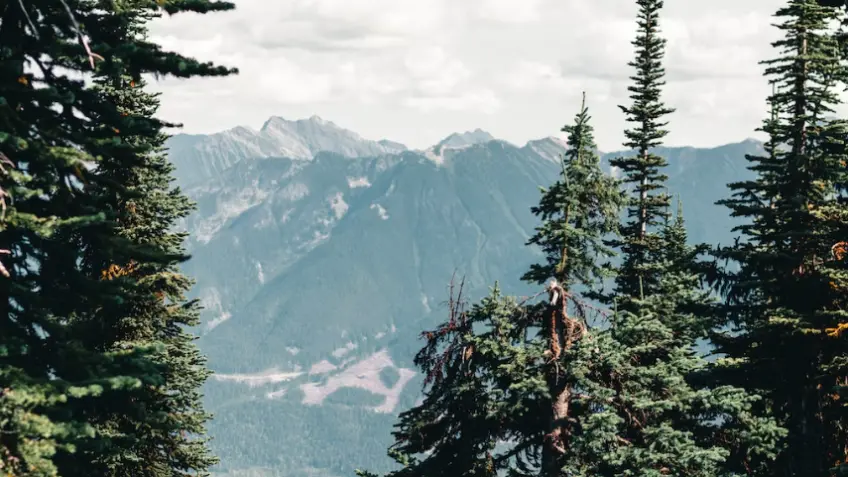 Canadian Rockies Tours from Calgary