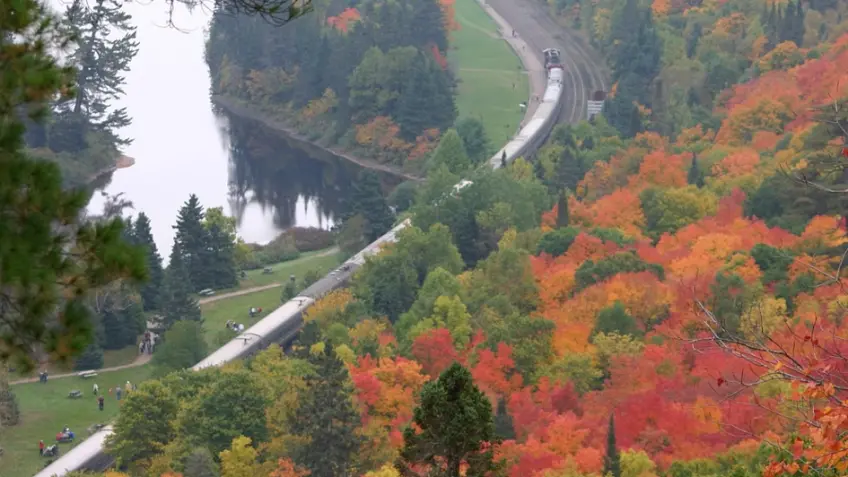 Fall Foliage Tours from Toronto