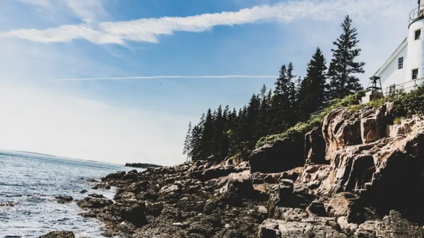Acadia National Park Tours from Boston