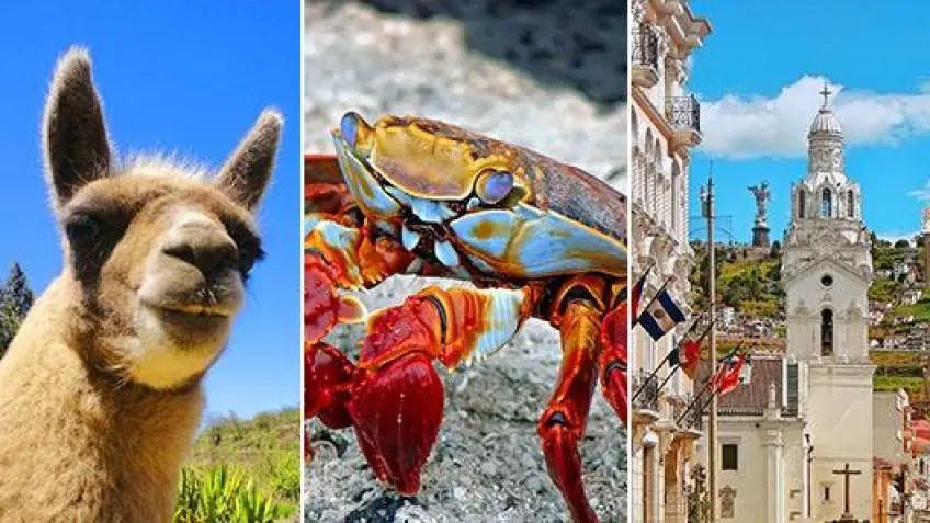 Ecuador Vacation Packages