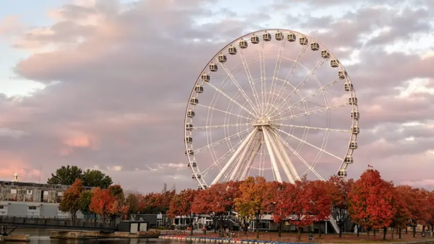 Montreal Tours from Toronto