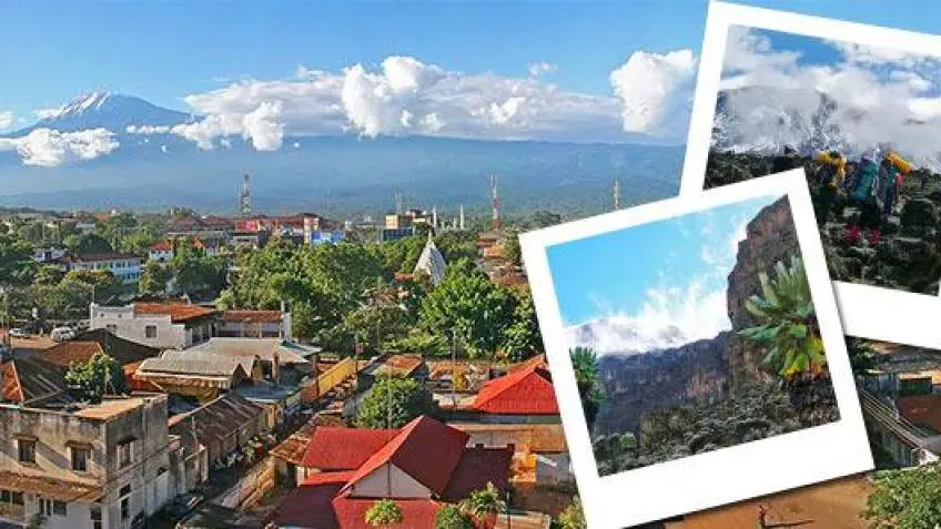 Vacation Packages from Moshi