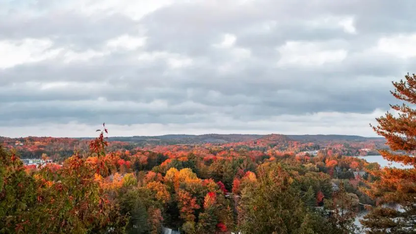 Peak Color, by Rail