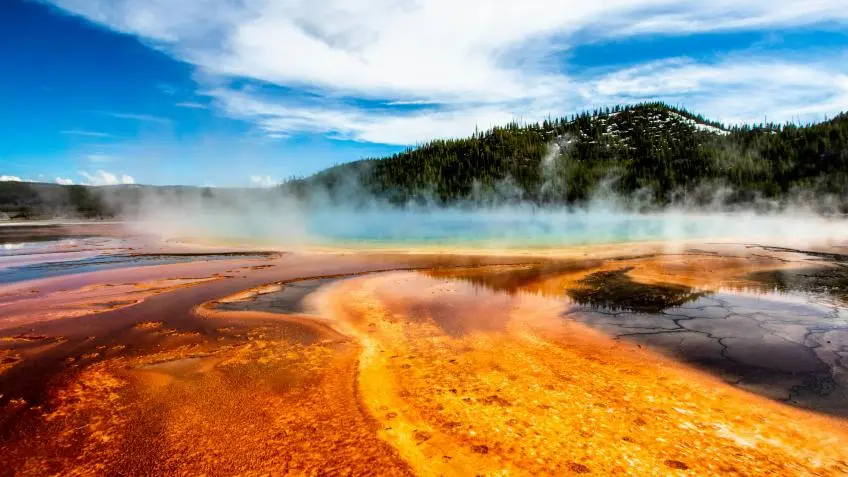 Yellowstone Tours