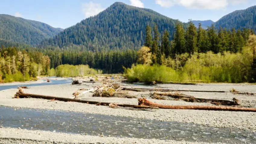 Olympic National Park Vacation Packages