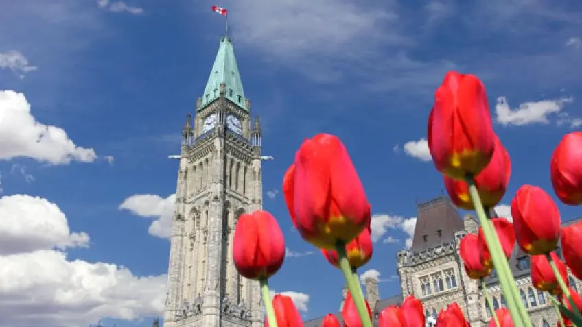 Ottawa Local Tours