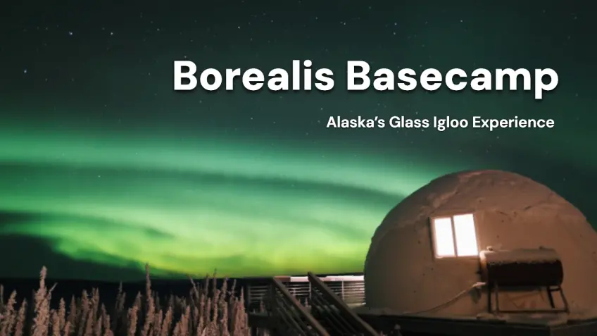 Alaska Tours Featuring Borealis Basecamp