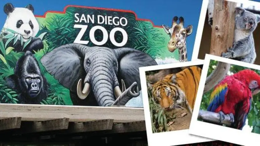 Day Trips to San Diego