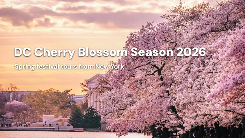 Washington DC Cherry Blossom Tours 2026 from New York