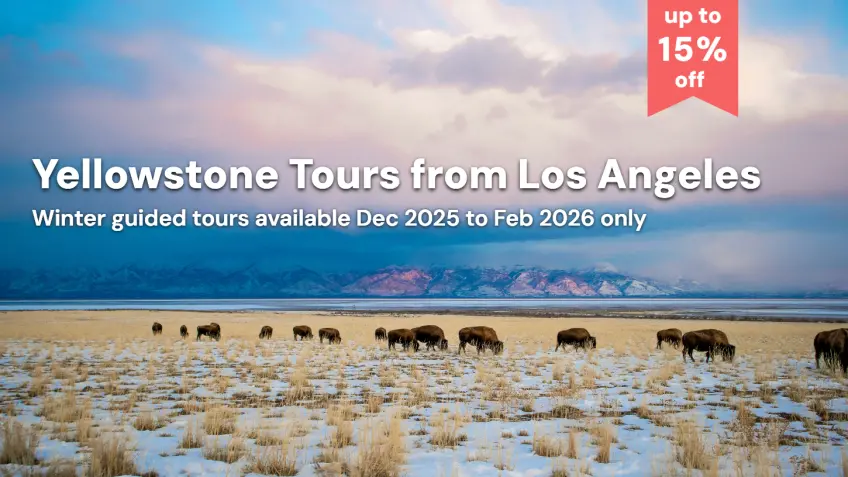 Summer Yellowstone Tours from LA