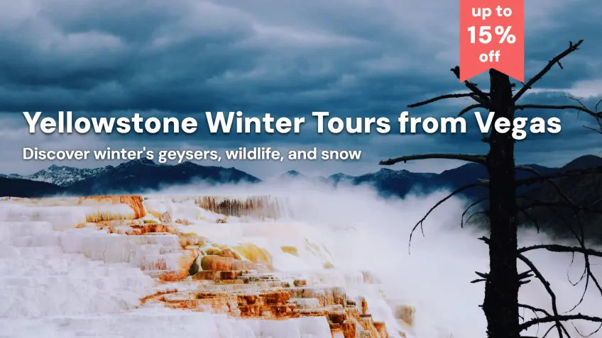 Yellowstone Winter Tours from Vegas