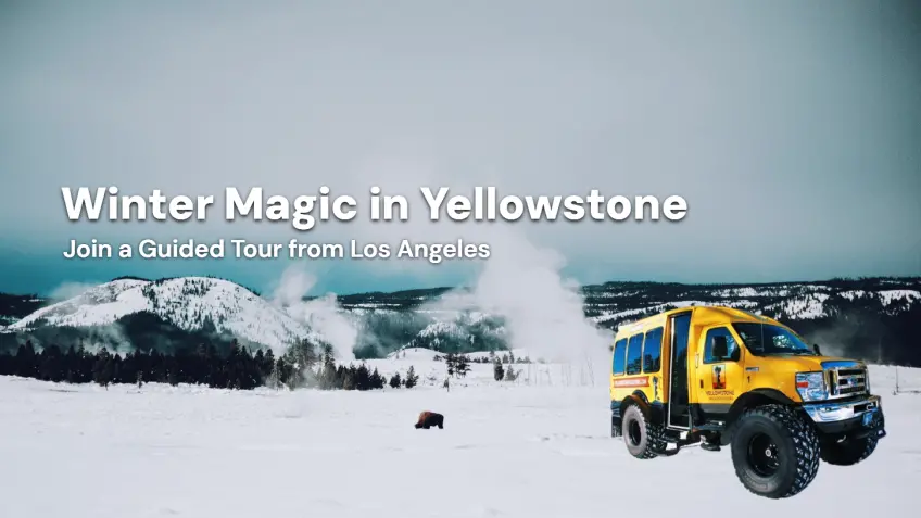 Yellowstone Winter Tours from Los Angeles