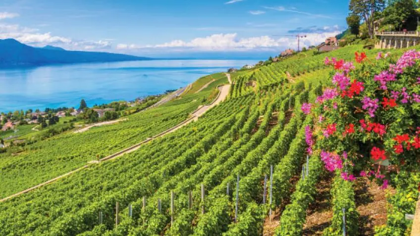 Switzerland Vacation Packages