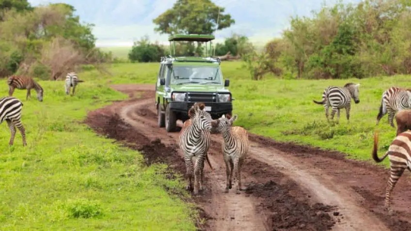 Tanzania Vacation Packages