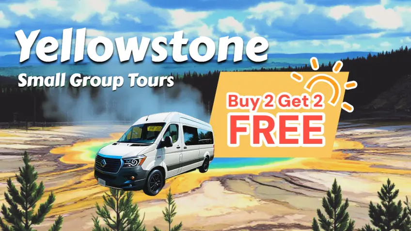 Summer Yellowstone Tour Deals