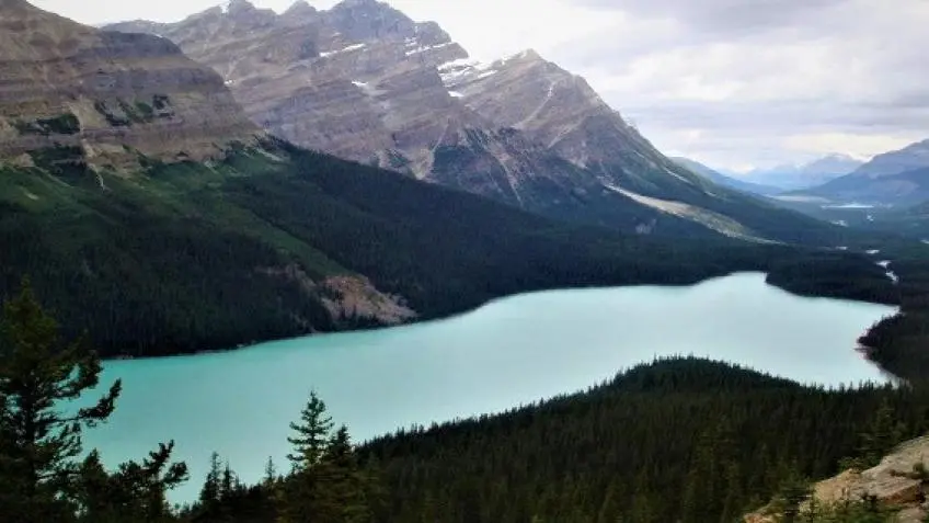 Yoho National Park Local Tours