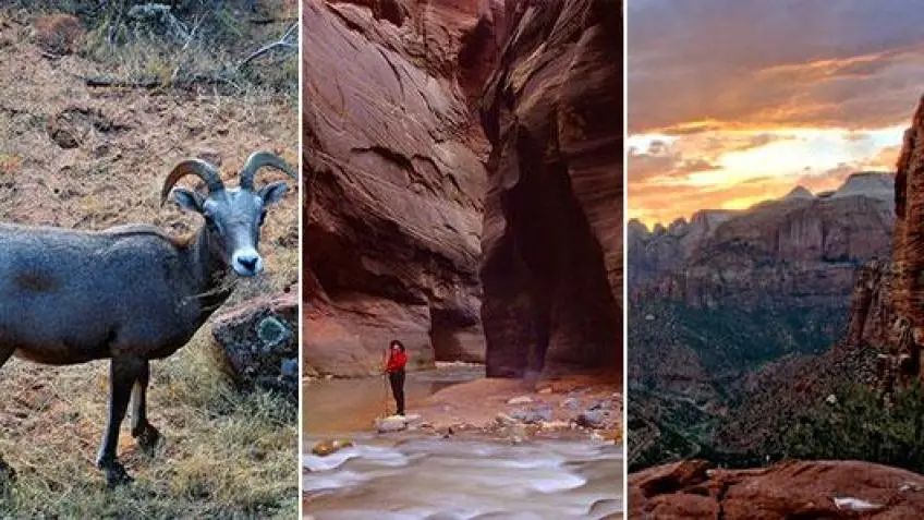 Zion National Park Vacation Packages