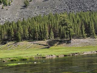 Yellowstone