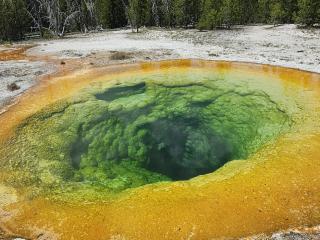 Yellowstone