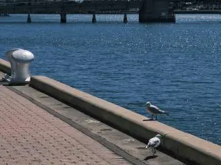 Adelaide Harbor