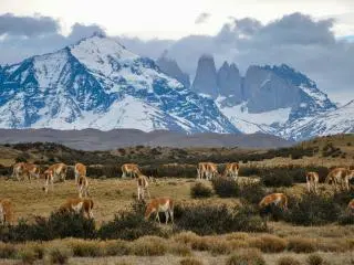 South America in Season