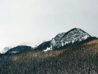 冬季露易丝湖滑雪场一日畅滑（卡尔加里出发）- 可选全天/半天滑雪套餐，含雪具与专业教学，适合各级别滑雪爱好者