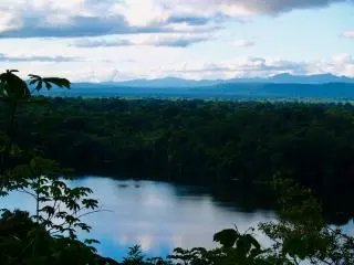Amazon Rain Forest