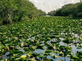 Everglades National Park, FL