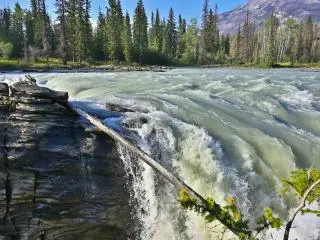5-Day Canadian Rockies In-Depth Tour: Jasper, Columbia Icefield & Banff from Calgary to Vancouver (Incl. Breakfast )