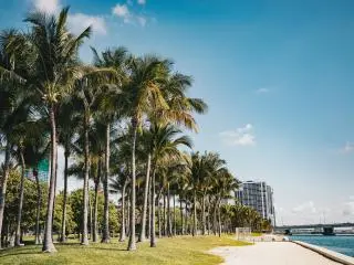 Miami Sightseeing Night Tour