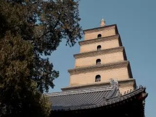 1-Day Xi'an Terracotta Warriors, City Wall and  Big Wild Goose Pagoda Private Tour