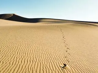 Death Valley National Park and Rhyolite Ghost Town 1-Day Tour from Las Vegas