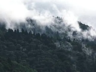 Great Smoky Mountains, TN