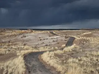 Petrified Forest National Park, AZ