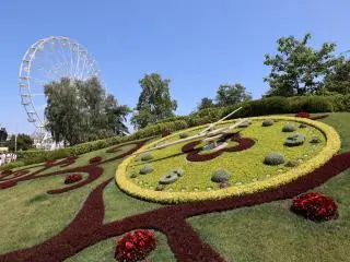 Flower Clock