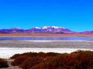 4-Day Atacama Desert Wonders Discovery Tour