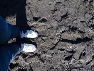 hawaii, oahu, black sand beach