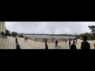 Cherry Blossom; Jefferson Memorial; Washington DC