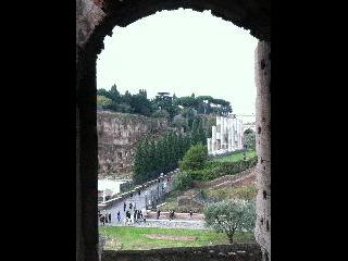 Italy, rome, colosseum