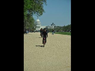 Washington DC