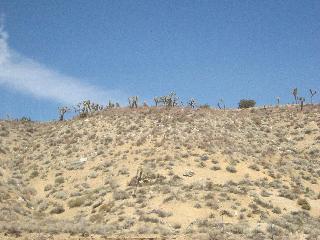 Death Valley