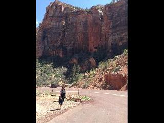 Zion, zion park, zion national park, utah