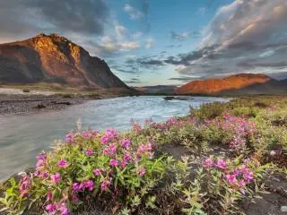 6-Day Best of Grand Alaska Highlights Tour from Anchorage  (Small Group, Exclusive 50+ years of age available)