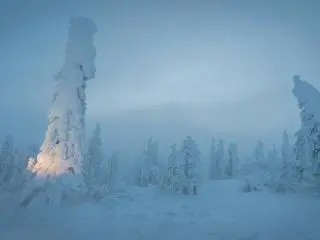 4-Day Alaska Aurora Viewing Tour from Fairbanks with Flexible Activity Options