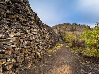 Wall of Tears