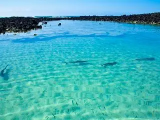 Tortuga Bay