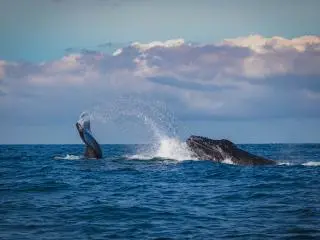 Puerto Vallarta, Mexico