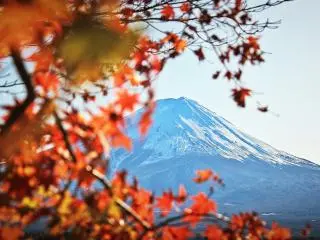 10日日韩经典游 - 日本关东关西 - 韩国首尔江原道（东京出发，首尔结束）
