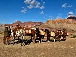 2日游-【12人奔驰小团】东南双峡-66号公路-羚羊谷-马蹄湾-锡恩国家公园 (拉斯大道酒店上门接送) 2日游-【12人奔驰小团】东南双峡-66号公路-羚羊谷-马蹄湾-锡恩国家公园 (拉斯大道酒店上门接送)