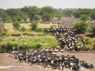 Serengeti, Tanzania, United Republic of